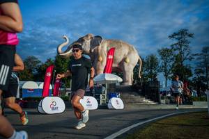 BIB: 
                            <button type="button" onclick="openModal(26541526)" class="btn btn-primary btn-sm float-right btn-popup" data-toggle="modal" data-target=".modal-high-quality">
                        <i class="fas fa-shopping-cart"></i> Add to Cart
                    </button>
                                            <button type="button" onclick="isThisMe(26541526, true)" class="btn btn-success btn-sm float-right btn-popup btn-isme hidden" data-toggle="tooltip" data-placement="bottom" title="นี่คือรูปของคุณใช่ไหม คลิกที่นี่เพื่อเอาเข้าอัลบั้ม">
                        <i class="fas fa-plus"></i> Add to album
                    </button>
                    <button type="button" onclick="isThisMe(26541526, false)" class="btn btn-warning btn-sm float-right btn-popup btn-isnotme hidden">
                        <i class="fas fa-ban"></i> Remove from album
                    </button>